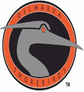 Delmarva Shorebirds