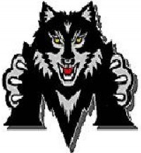 Madison Black Wolf