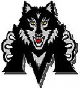 Madison Black Wolf