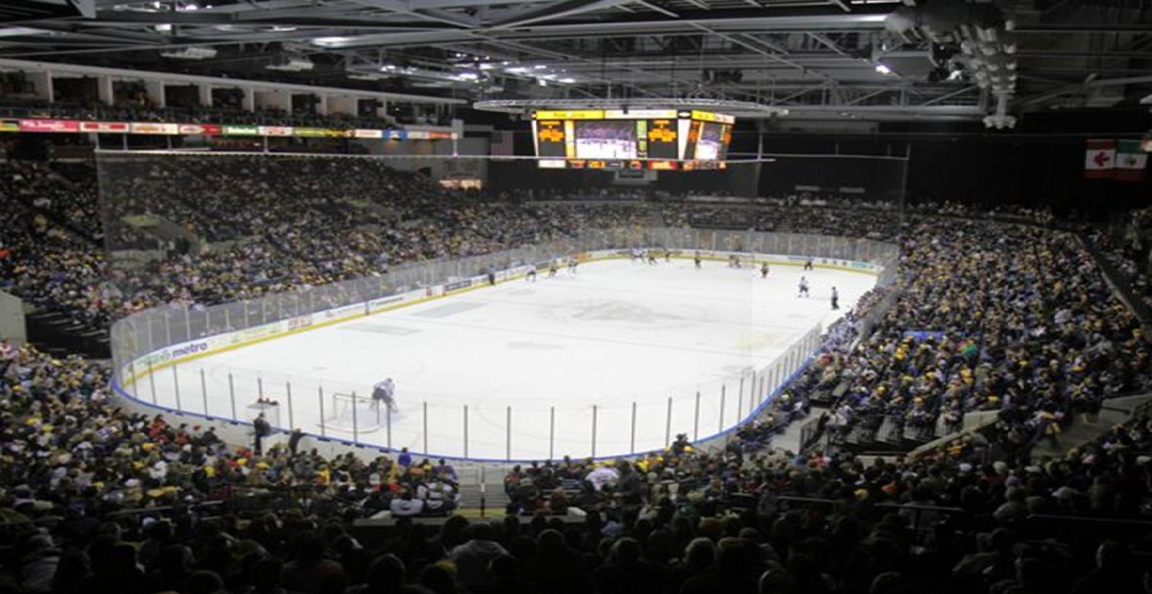 Sports Services 